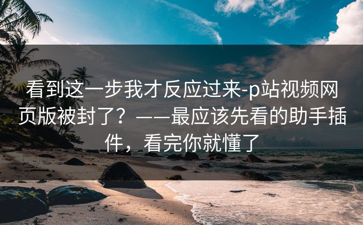 看到这一步我才反应过来-p站视频网页版被封了?——最应该先看的助手插件,看完你就懂了