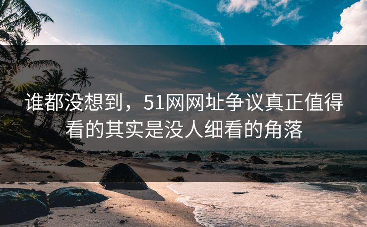 谁都没想到,51网网址争议真正值得看的其实是没人细看的角落